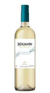 Vinho Nieto Benjamin Suave Branco 750 ml